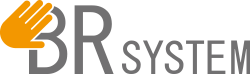 br-system Logo
